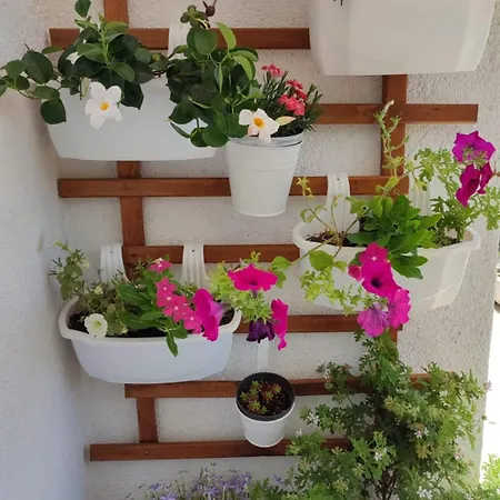 Petra Apartament *