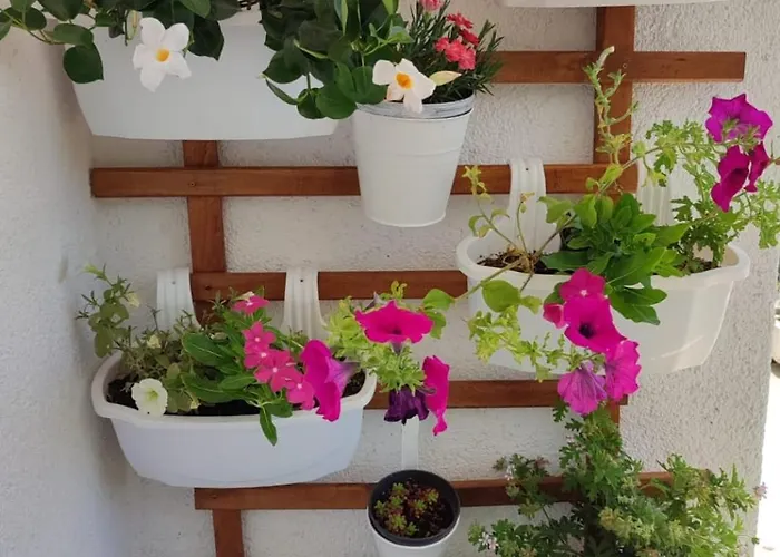 Petra Апартаменты *